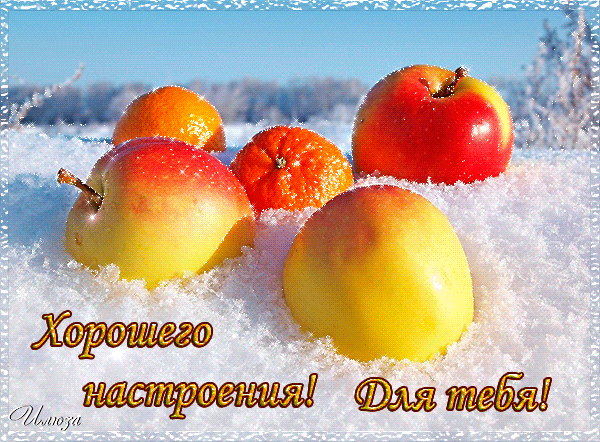 Хостинг картинок yapx.ru