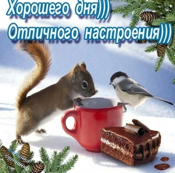 Хостинг картинок yapx.ru