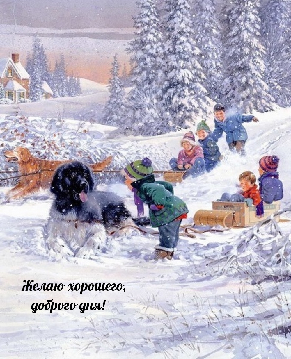 Хостинг картинок yapx.ru