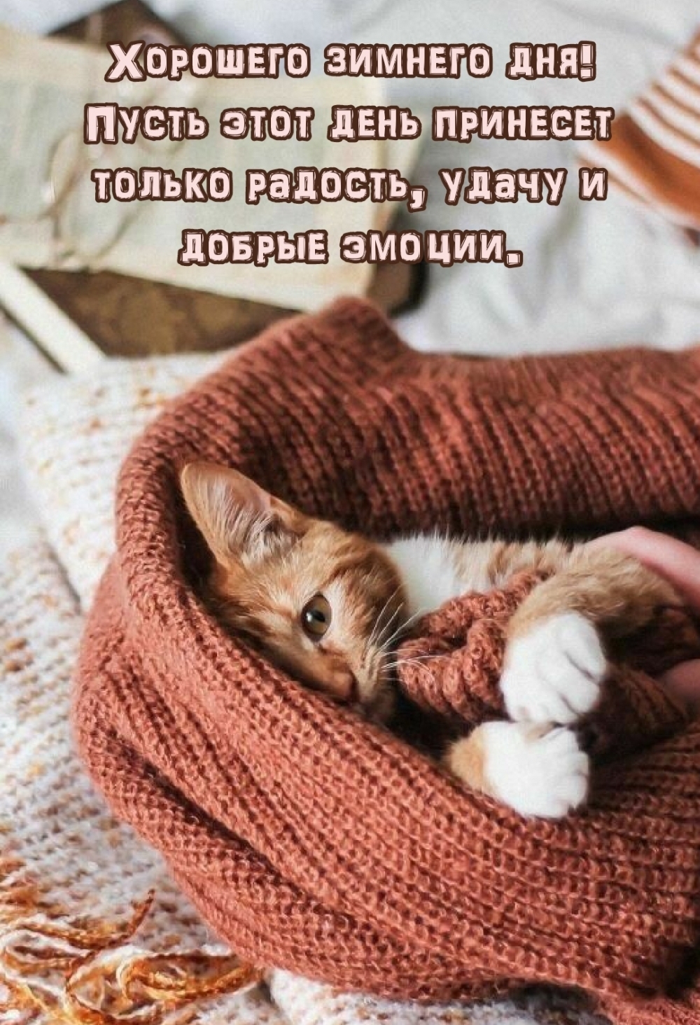 Хостинг картинок yapx.ru