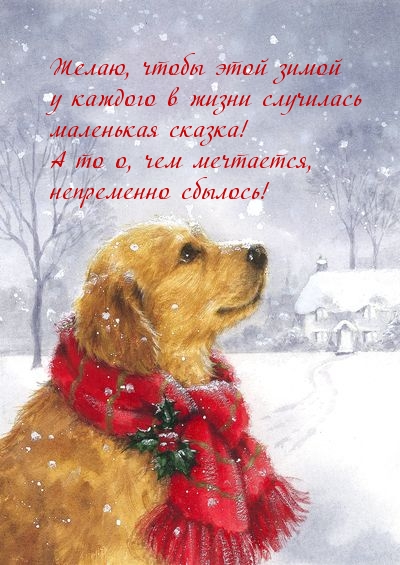 Хостинг картинок yapx.ru