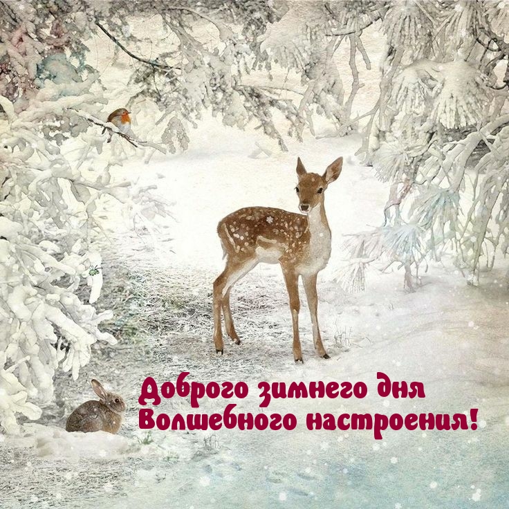 Хостинг картинок yapx.ru