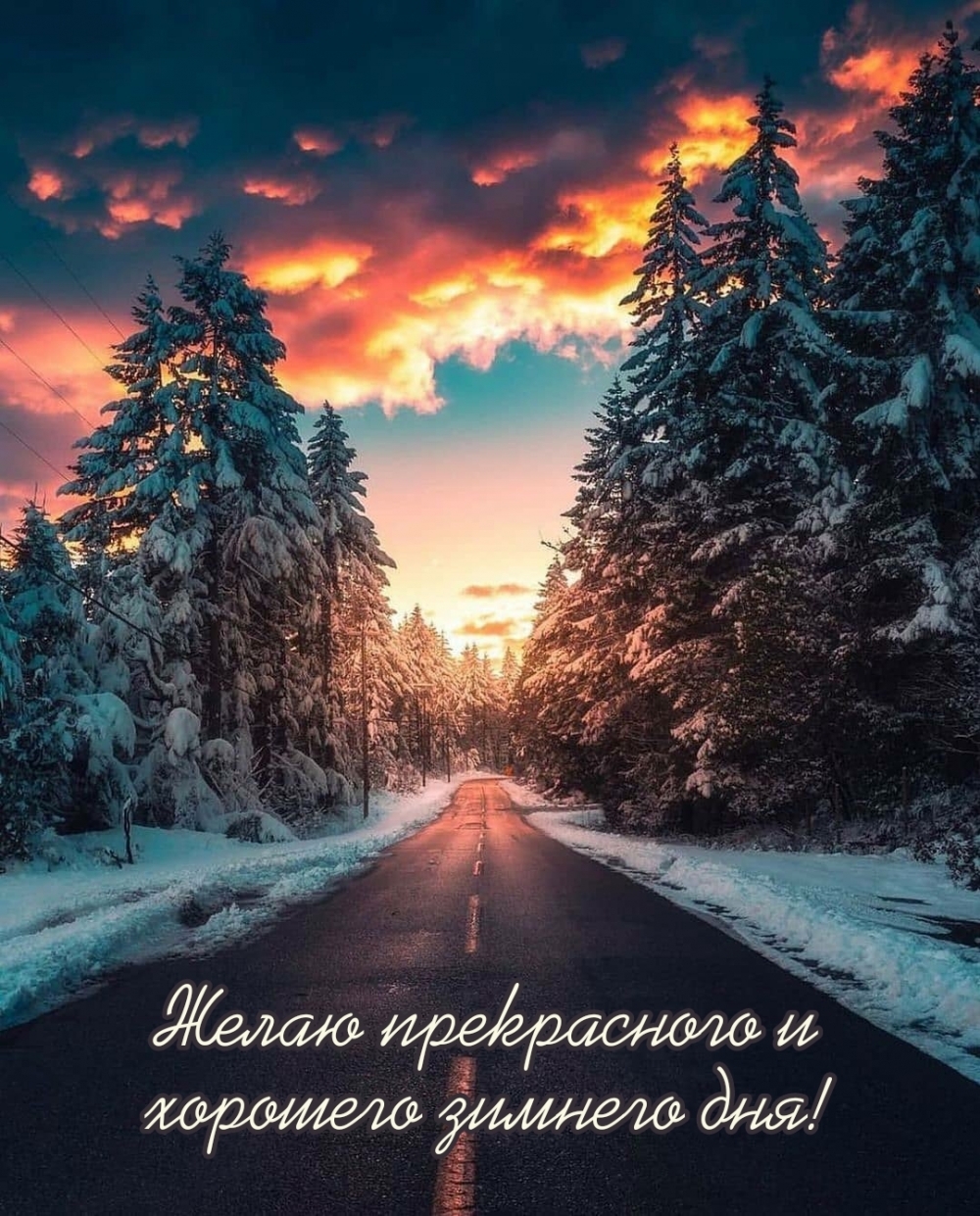 Хостинг картинок yapx.ru