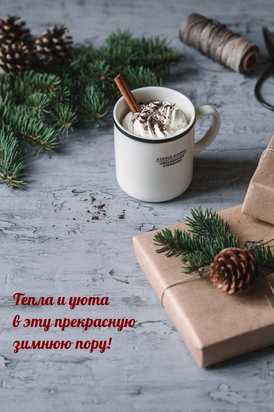 Хостинг картинок yapx.ru