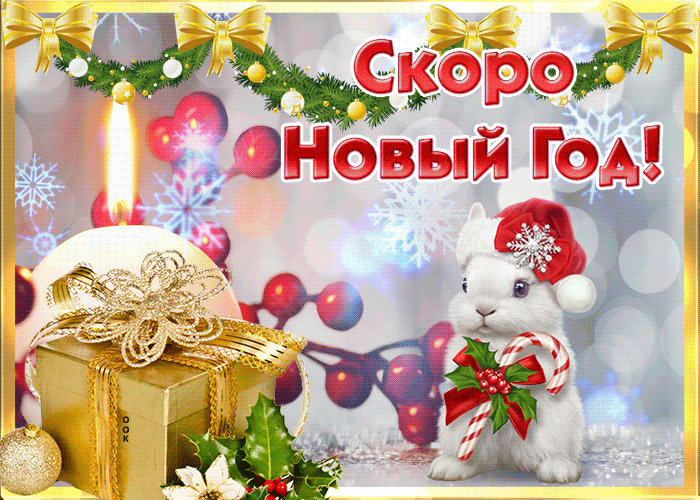Поздравления с новым годом кролика Поздравления с новым годом кролика
