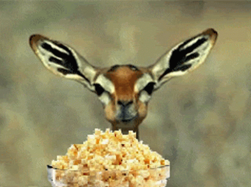 Изктрл Попкорн GIF Изктрл Попкорн GIF