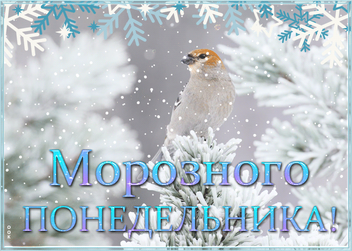 Прекрасная открытка с пожеланием морозного понедельника