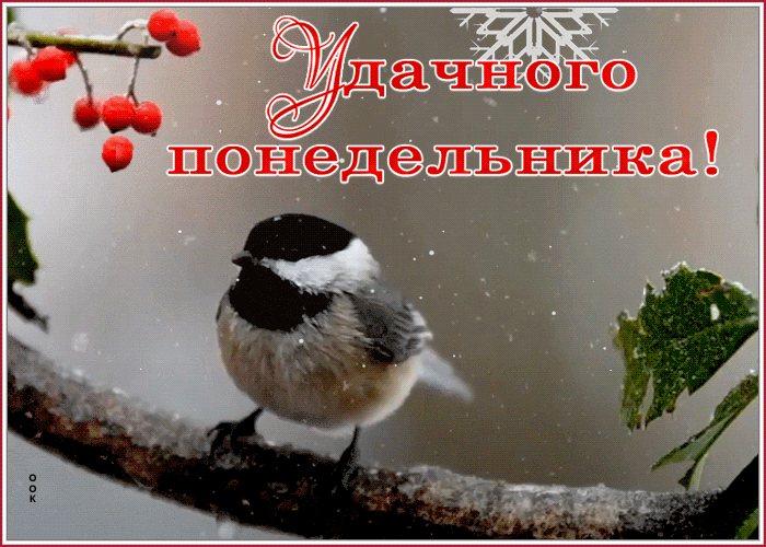 Открытка удачного зимнего понедельника