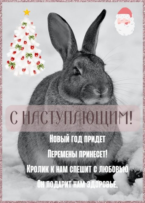 Выбирайте интересные и красивые картинки с Новым годом 2023 и дарите окружающим позитив! Выбирайте интересные и красивые картинки с Новым годом 2023 и дарите окружающим позитив!