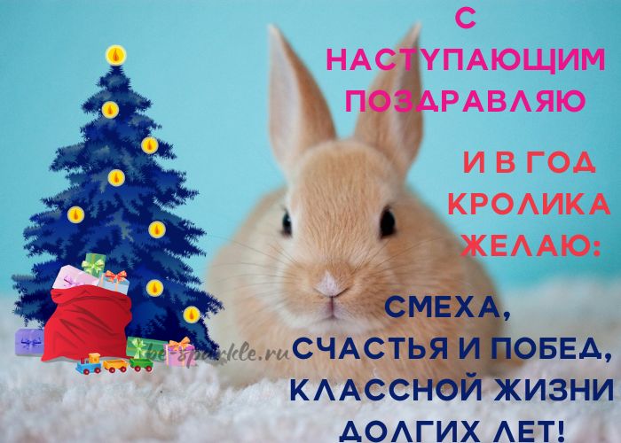 2023 год в восточном календаре является годом Кролика – черного водяного. Скоро он вступит в свои права. 2023 год в восточном календаре является годом Кролика – черного водяного. Скоро он вступит в свои права.