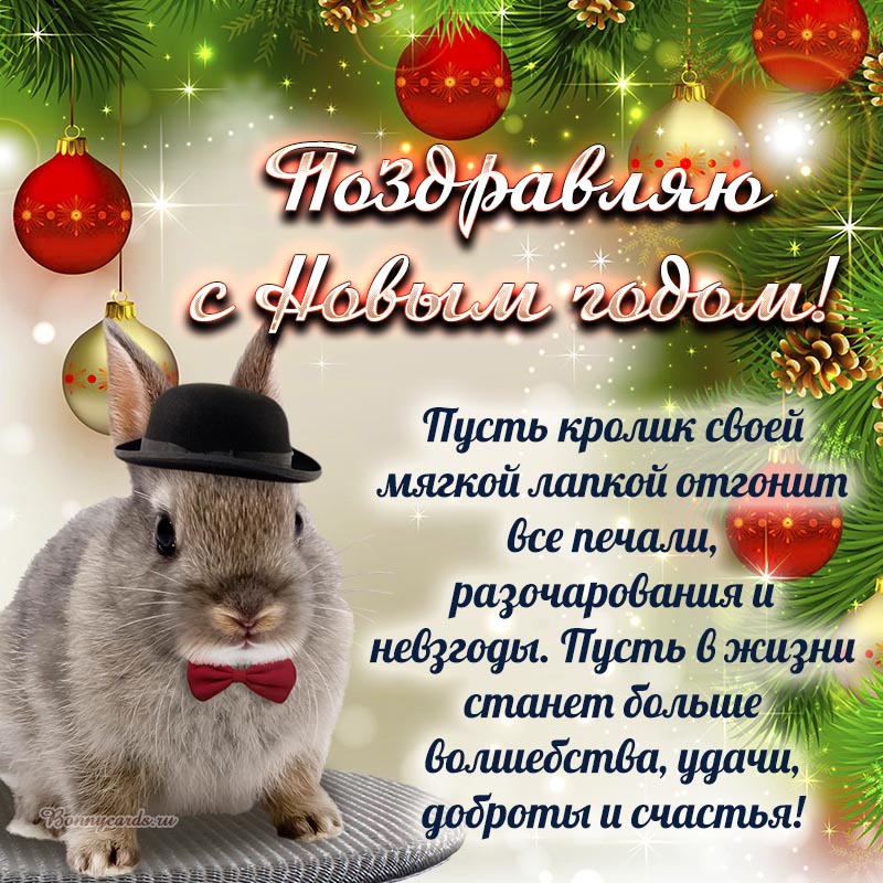 Открытка с кроликом и пожеланием на Новый год. Открытка с кроликом и пожеланием на Новый год.