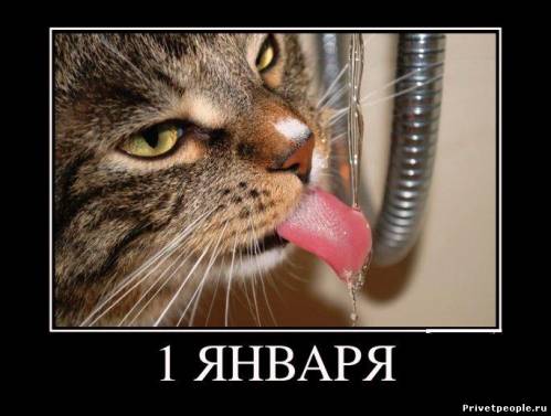 После новогодних праздников приколы, Поздравление с первым рабочим днем. После новогодних праздников приколы, Поздравление с первым рабочим днем.