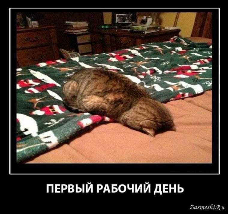 Приколы про выход на работу после праздников.