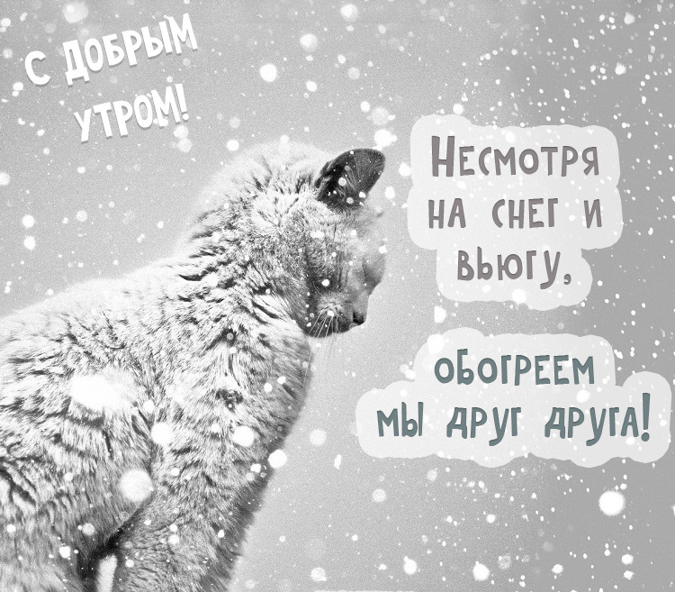 С добрым зимним утром картинки с надписями. Новые красивые зимние открытки смешные.