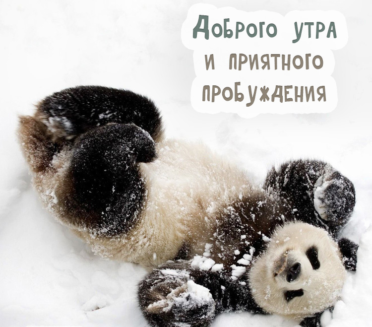 Красивые картинки "Доброе утро, зима!".