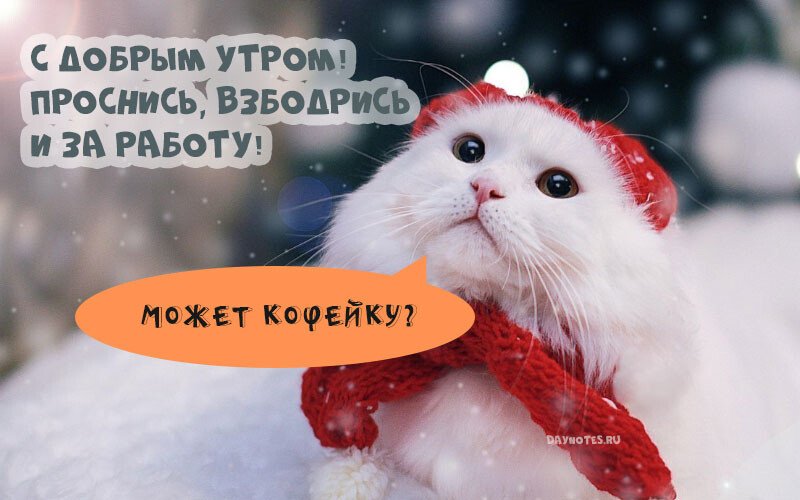 Зимние поздравления с добрым утром.