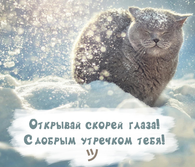 Рекомендуем воспользоваться нашими готовыми посланиями: скачать и отправить понравившиеся картинки с надписями С добрым Зимним утром.