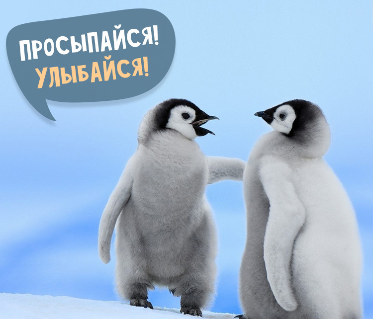 Доброе утро дорогие друзья!