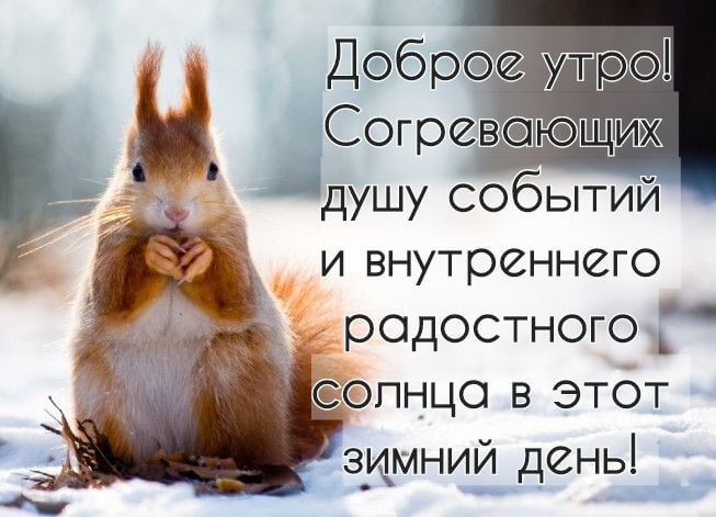 Веселые зимние пожеланиями доброго утра.
