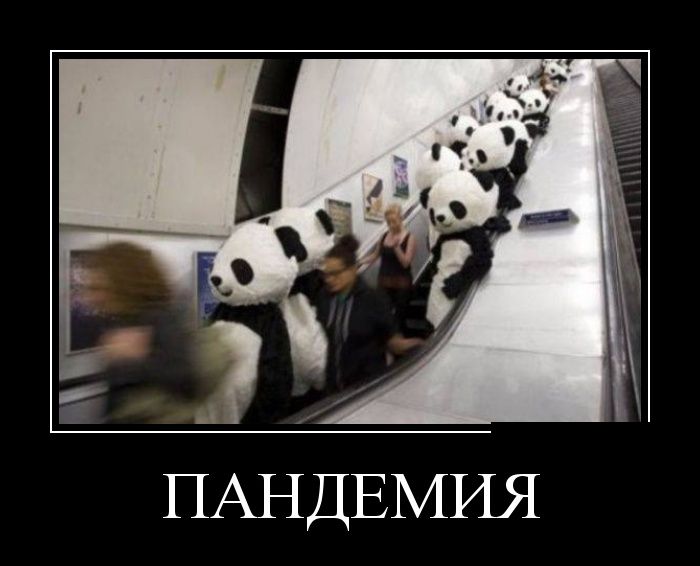 Звериные демотиваторы (30 фото).