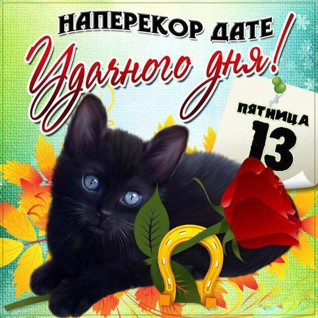 Пятница 13 поздравления прикольные Пятница 13 поздравления прикольные