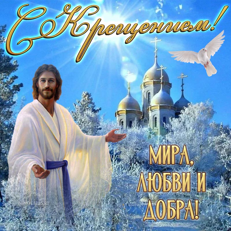 Хостинг картинок yapx.ru