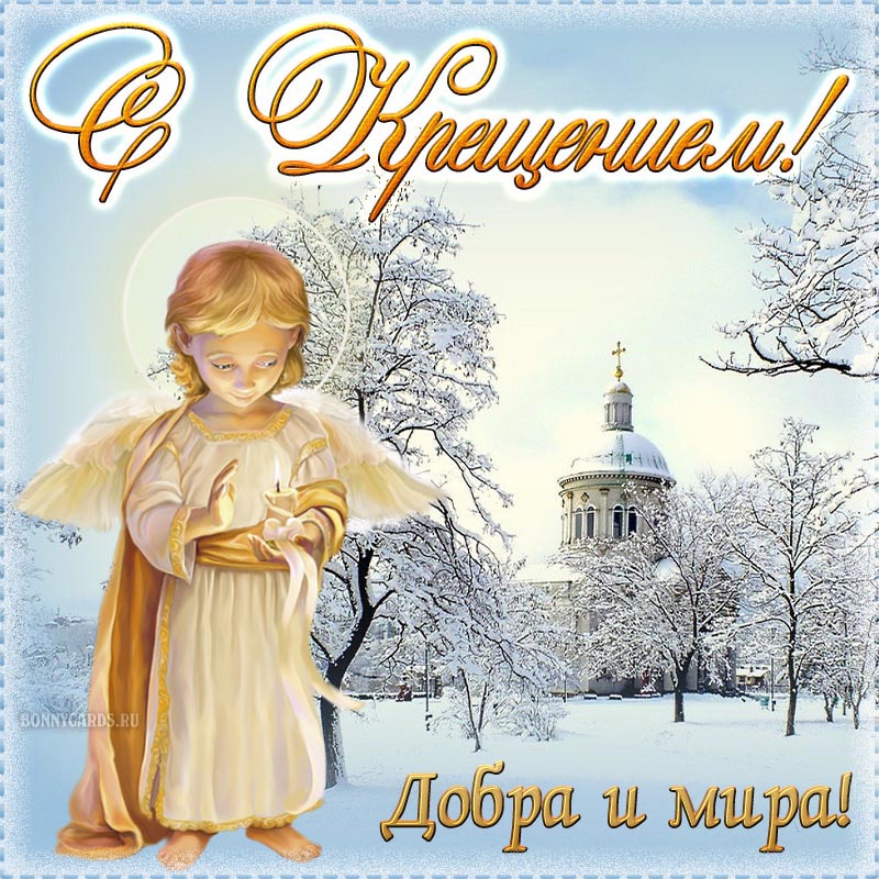 Хостинг картинок yapx.ru