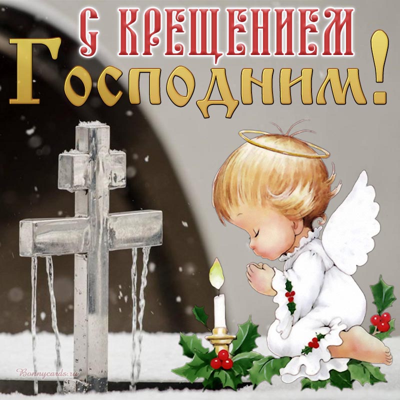 Хостинг картинок yapx.ru