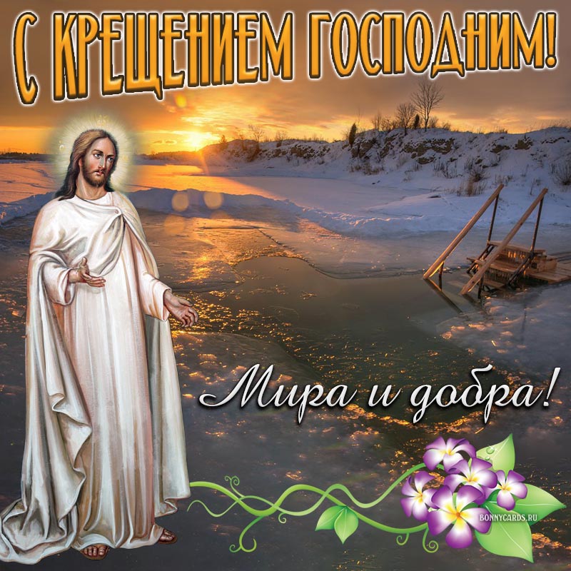 Хостинг картинок yapx.ru
