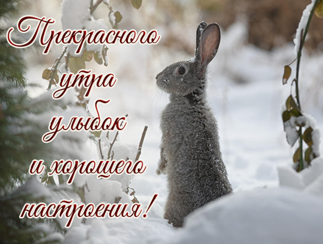 Хостинг картинок yapx.ru