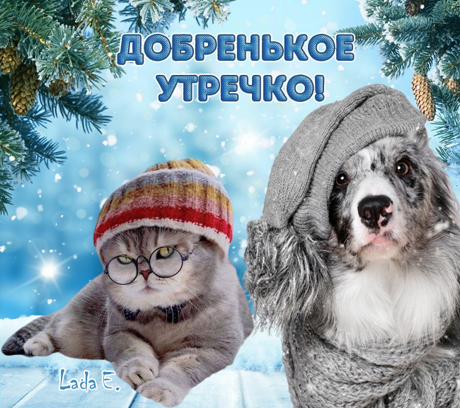 Хостинг картинок yapx.ru