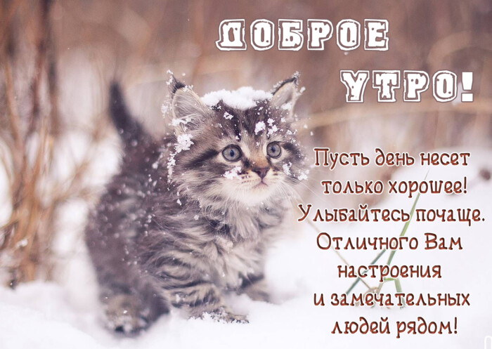 Хостинг картинок yapx.ru
