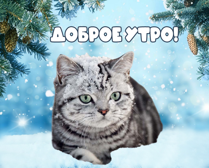 Хостинг картинок yapx.ru