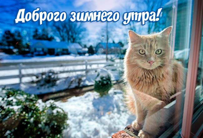 Открытки с добрым утром зимние, Доброе Снежное утро, Доброе морозное утро.