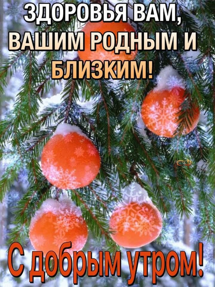 Хостинг картинок yapx.ru