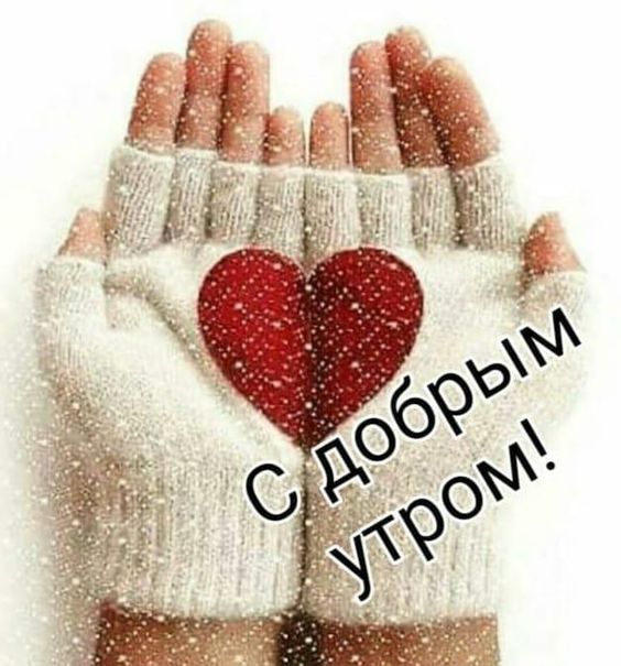 Хостинг картинок yapx.ru