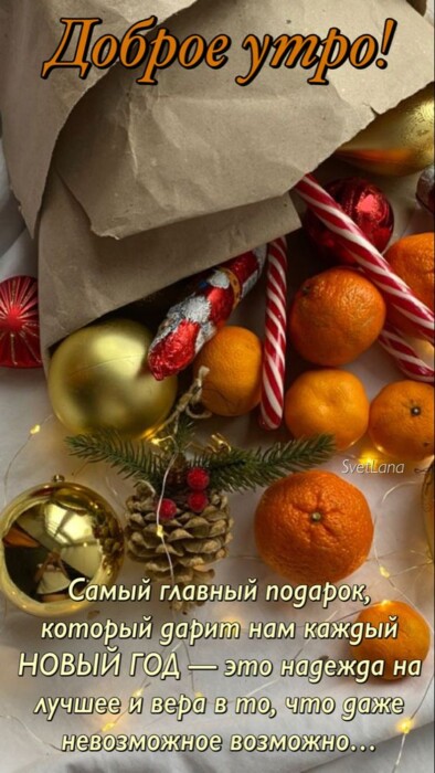 Хостинг картинок yapx.ru
