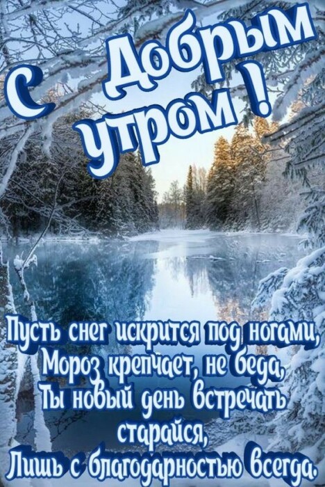 Хостинг картинок yapx.ru