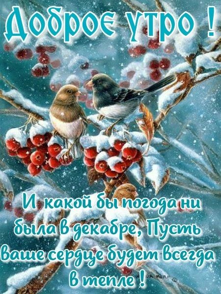 Хостинг картинок yapx.ru
