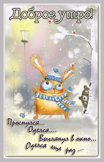 Хостинг картинок yapx.ru