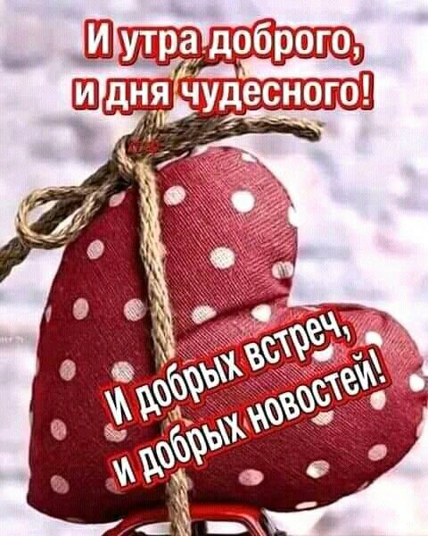 Хостинг картинок yapx.ru