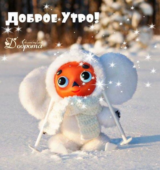 Хостинг картинок yapx.ru