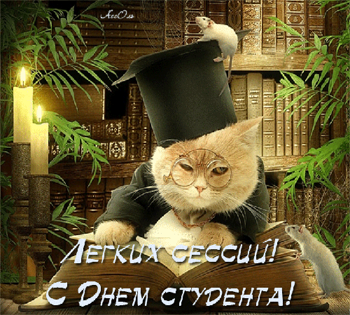 Смешная гифка лёгких сессий, ч днём студента!