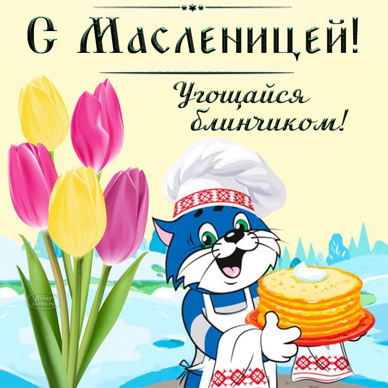 Кот, разноцветные тюльпаны и надпись - с Масленицей.