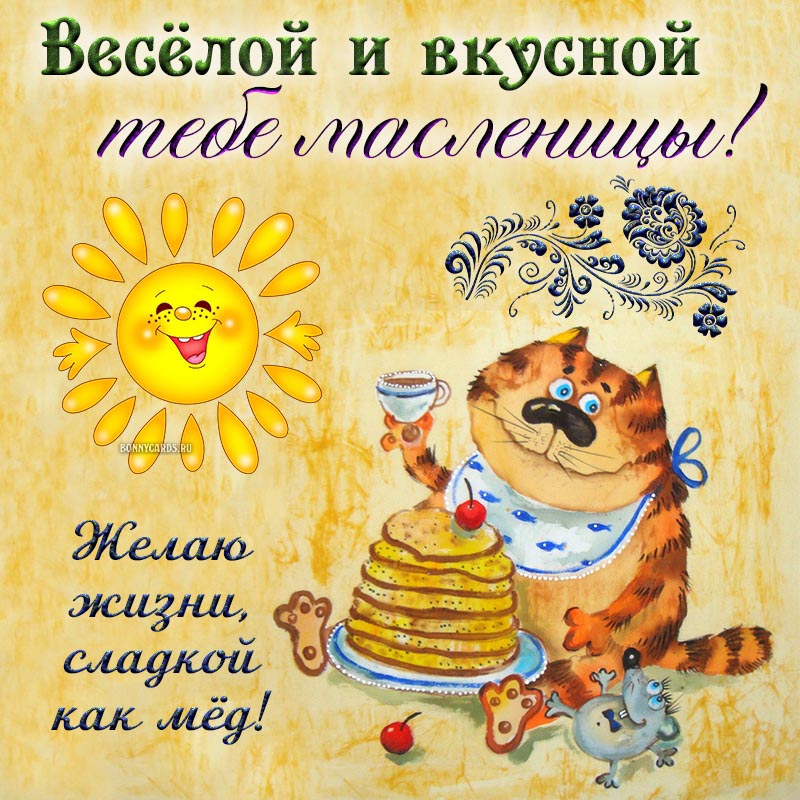 Картинка с котом - весёлой и вкусной тебе Масленицы.