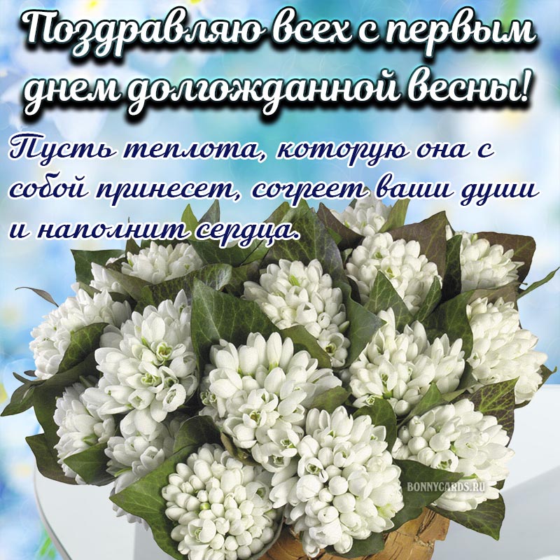 Хостинг картинок yapx.ru