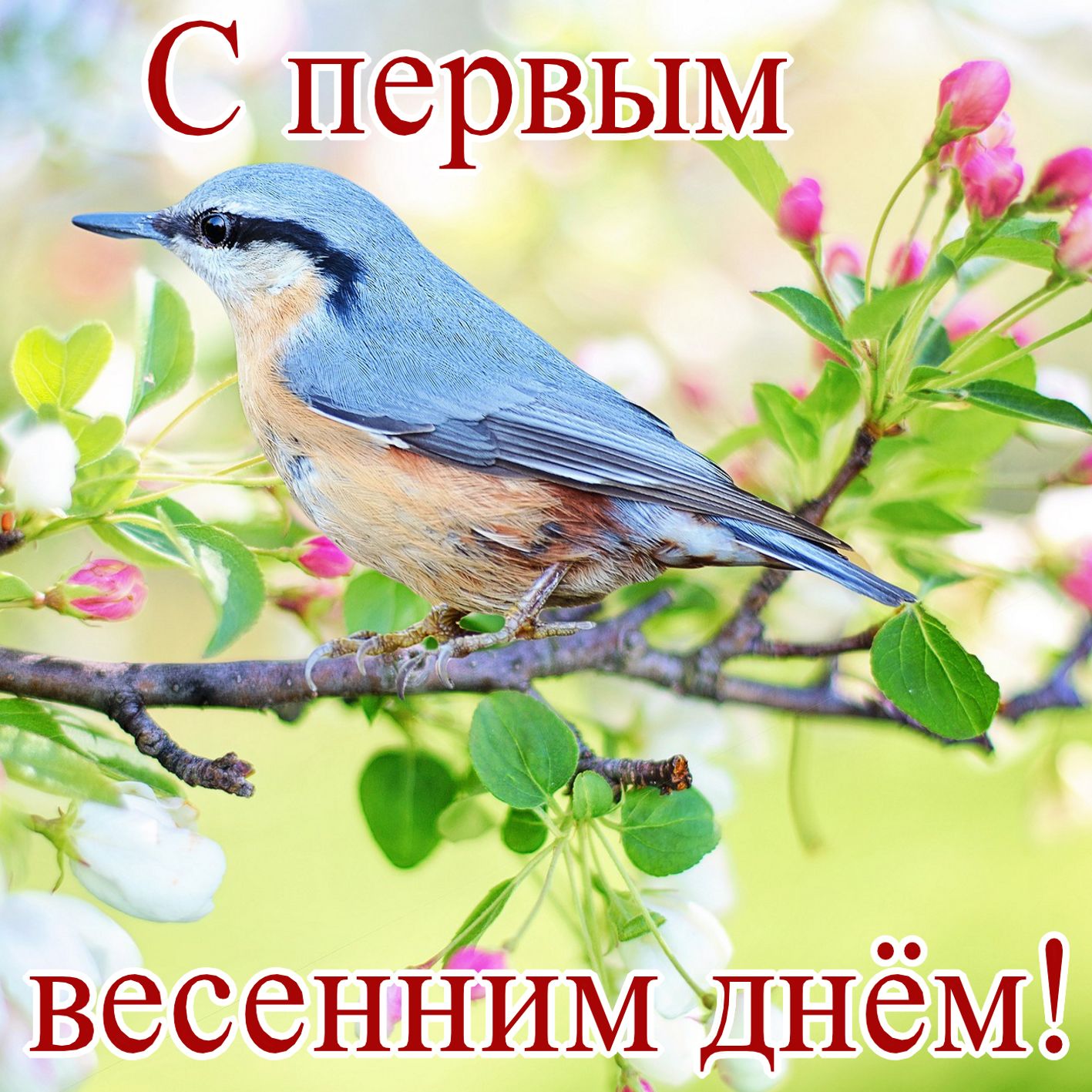 Хостинг картинок yapx.ru