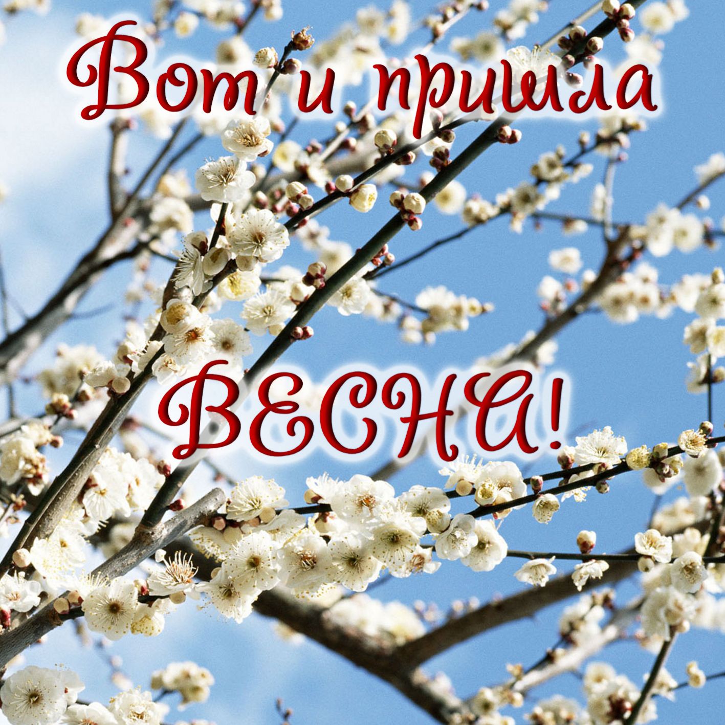 Открытки с первым днем весны. Открытки с первым днем весны.