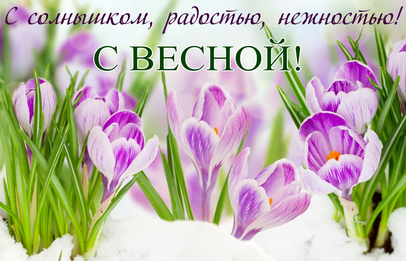 Картинка на начало весны в марте. Картинка на начало весны в марте.
