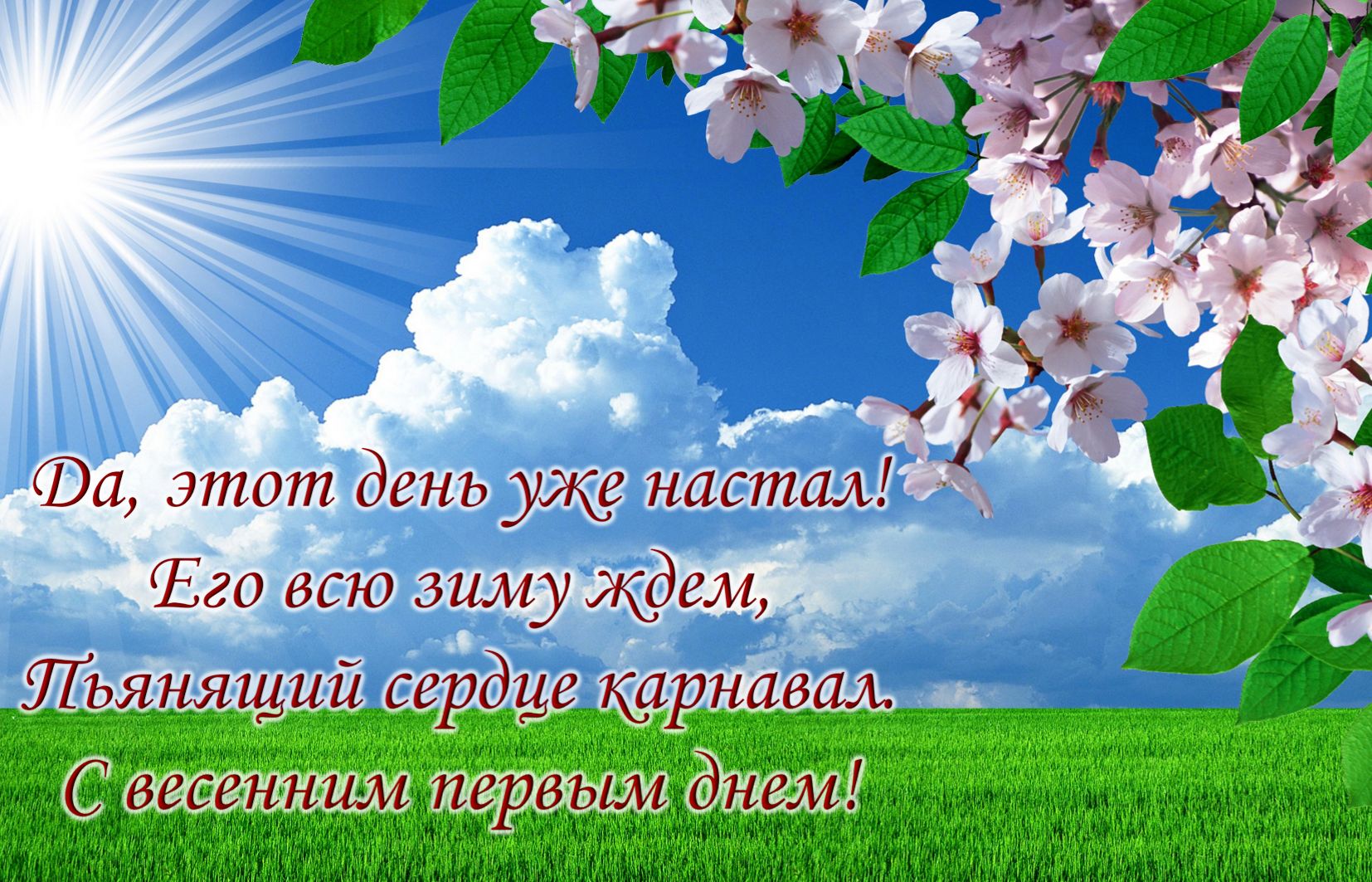 Хостинг картинок yapx.ru
